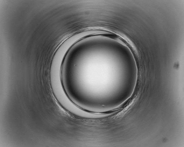 X0000099460809200805091527
