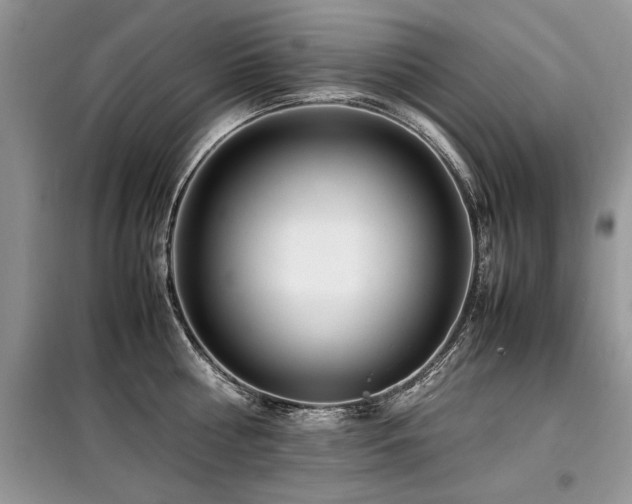 X0000099460810200805091527