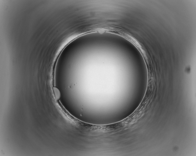 X0000099460811200805091527