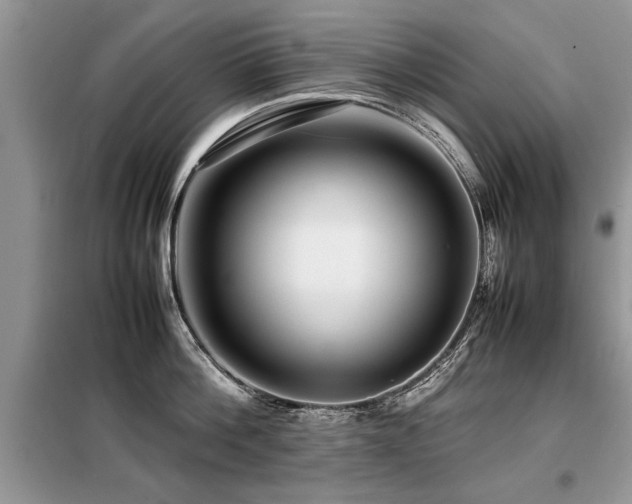 X0000099460812200805091527