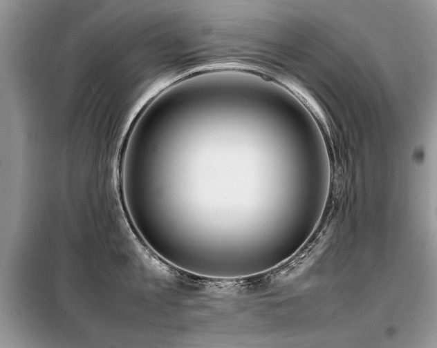 X0000099460813200805091527