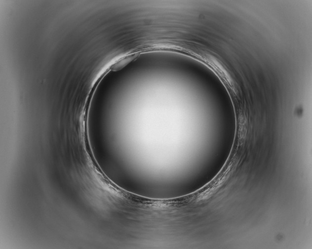 X0000099460814200805091527