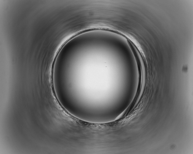 X0000099460815200805091527
