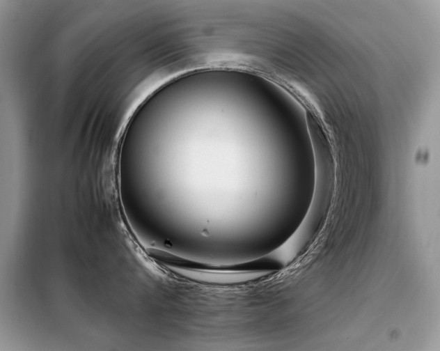 X0000099460816200805091527