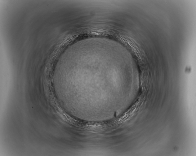 X0000099460817200805091526