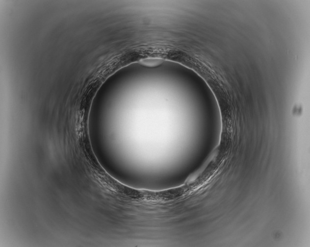X0000099460818200805091526