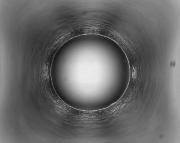 X0000099460819200805091526