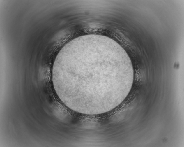 X0000099460820200805091526