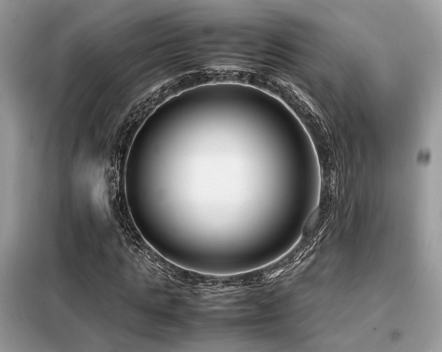 X0000099460821200805091526