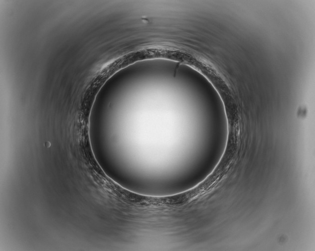 X0000099460822200805091526