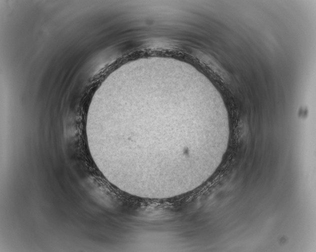 X0000099460824200805091526