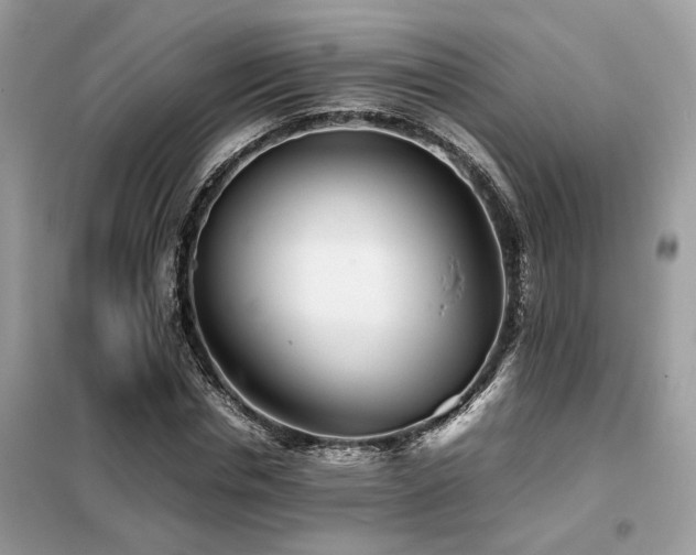 X0000099460826200805091526