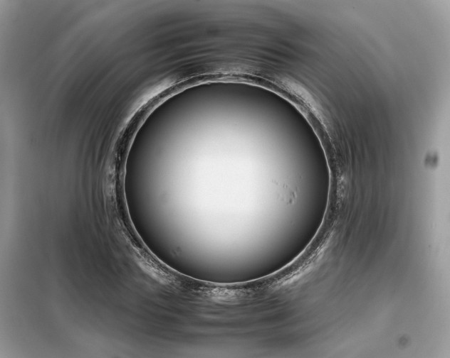 X0000099460827200805091526