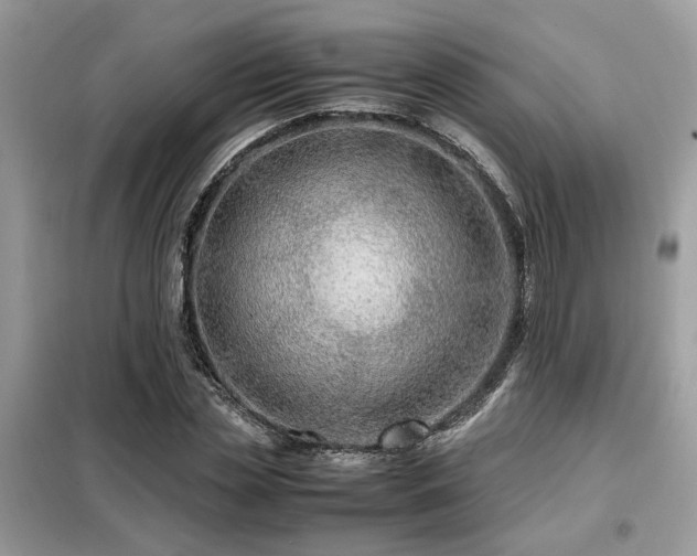 X0000099460829200805091526