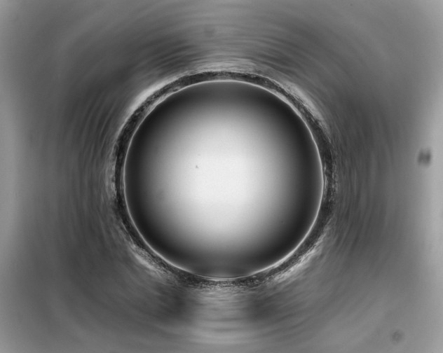 X0000099460830200805091526