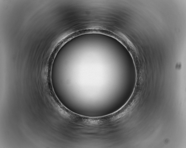 X0000099460831200805091526