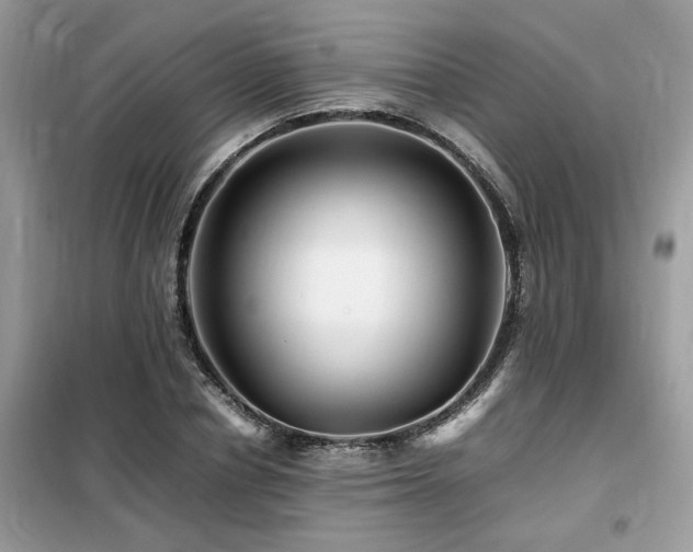 X0000099460834200805091526