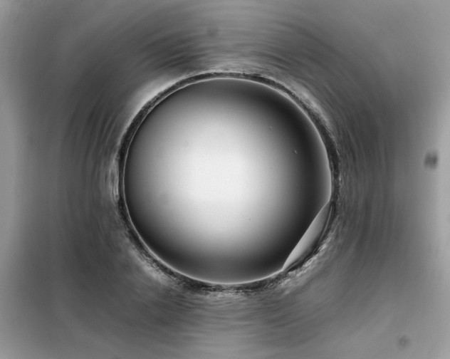 X0000099460838200805091527
