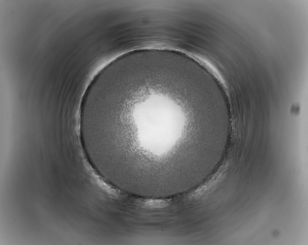 X0000099460839200805091527
