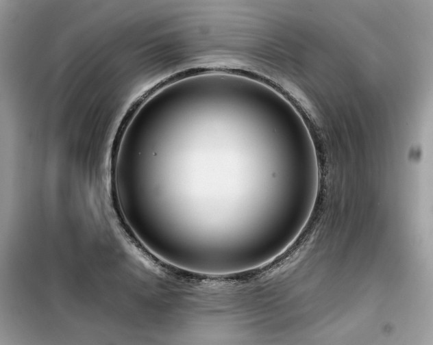 X0000099460840200805091527