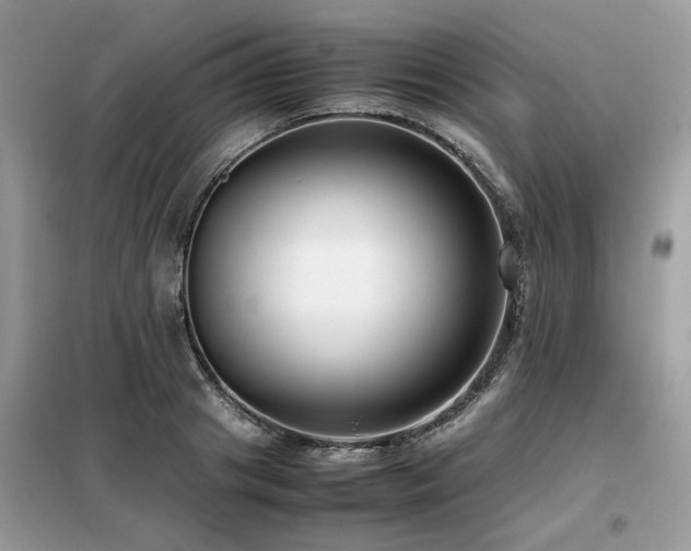 X0000099460841200805091527
