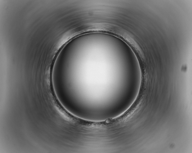 X0000099460842200805091527