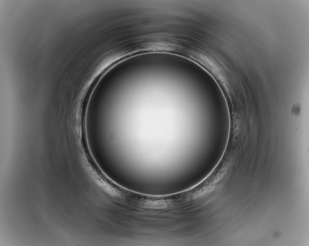 X0000099460843200805091527