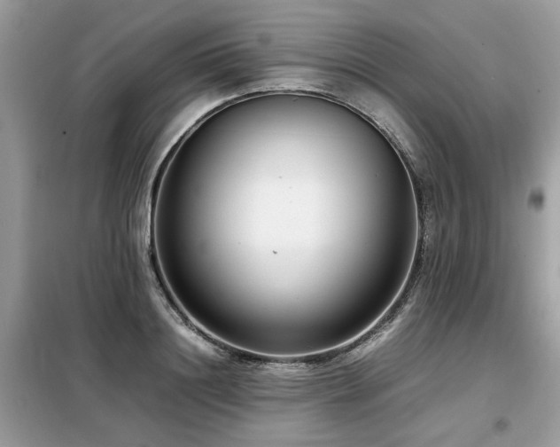X0000099460844200805091527
