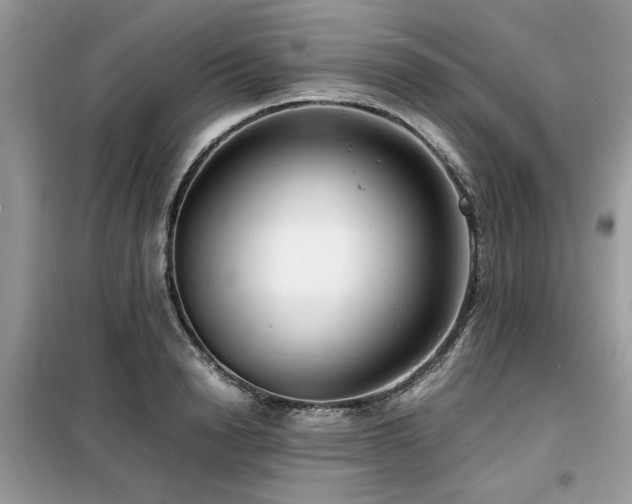 X0000099460846200805091527