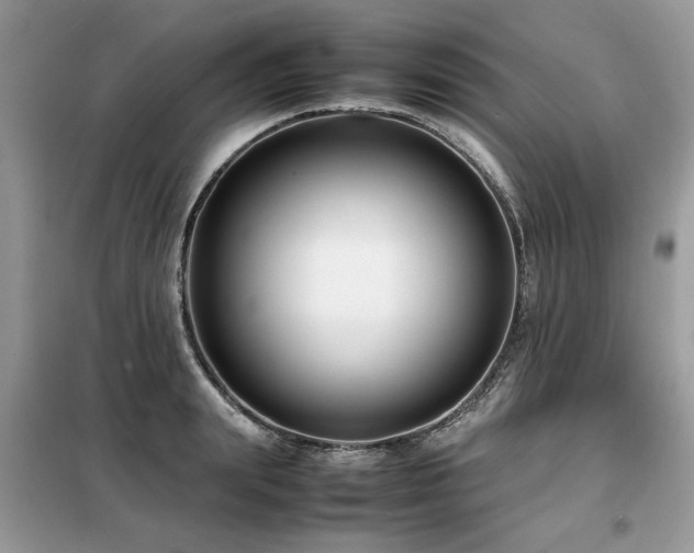 X0000099460847200805091527