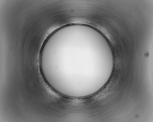 X0000099460848200805091527