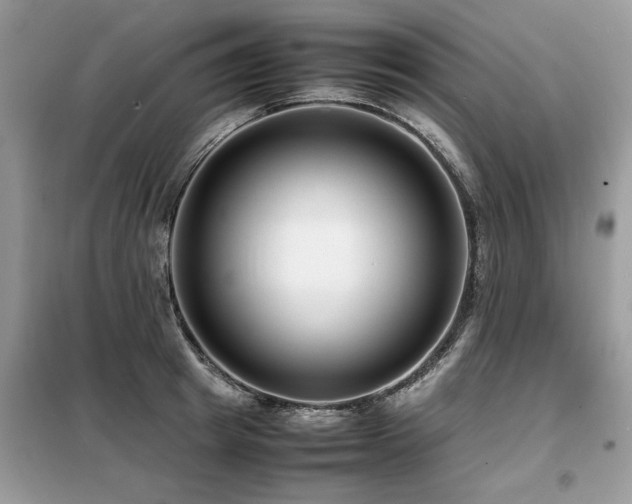 X0000099460849200805091527