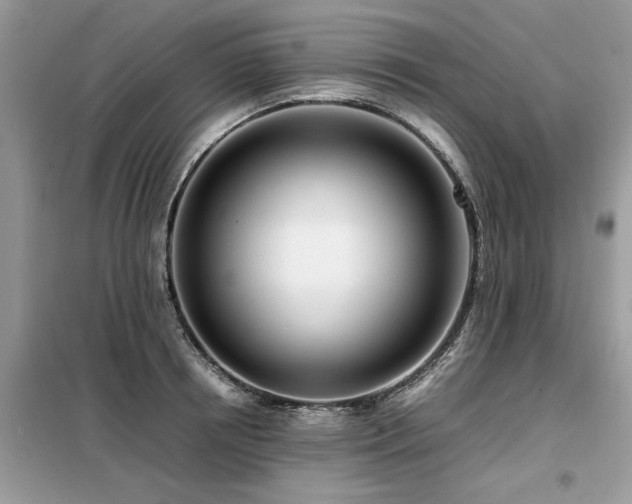 X0000099460850200805091527