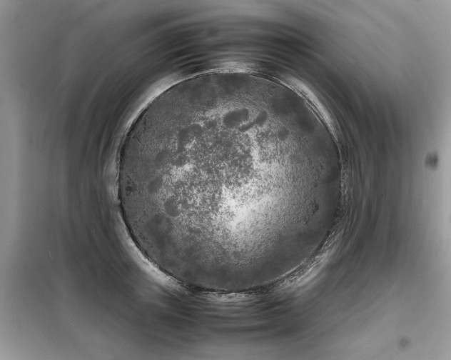 X0000099460851200805091527