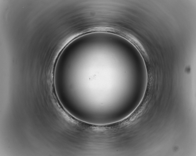 X0000099460852200805091527