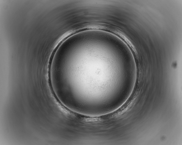 X0000099460853200805091527