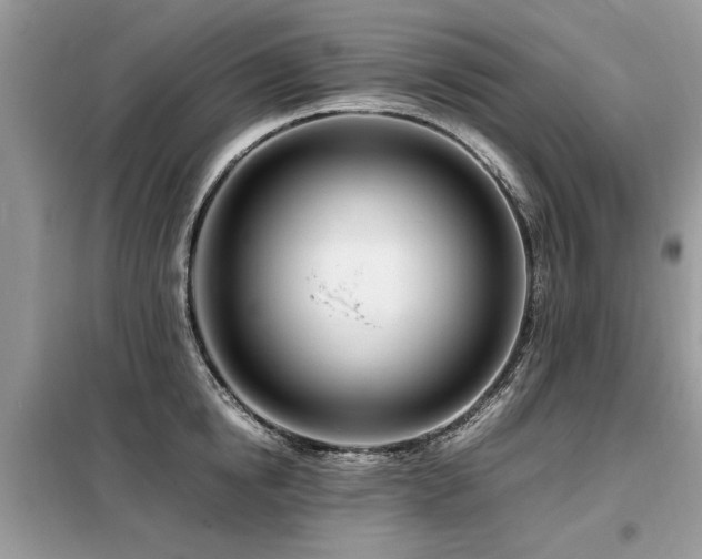 X0000099460854200805091527