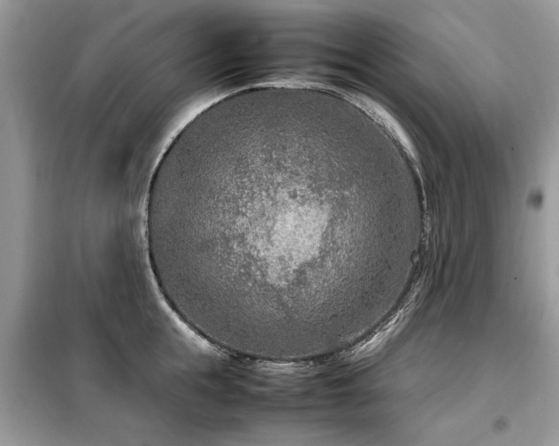 X0000099460855200805091527