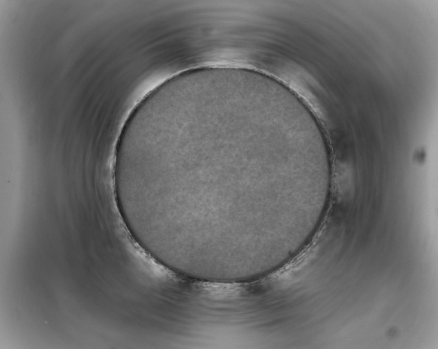 X0000099460856200805091527