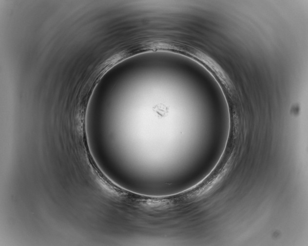 X0000099460857200805091527