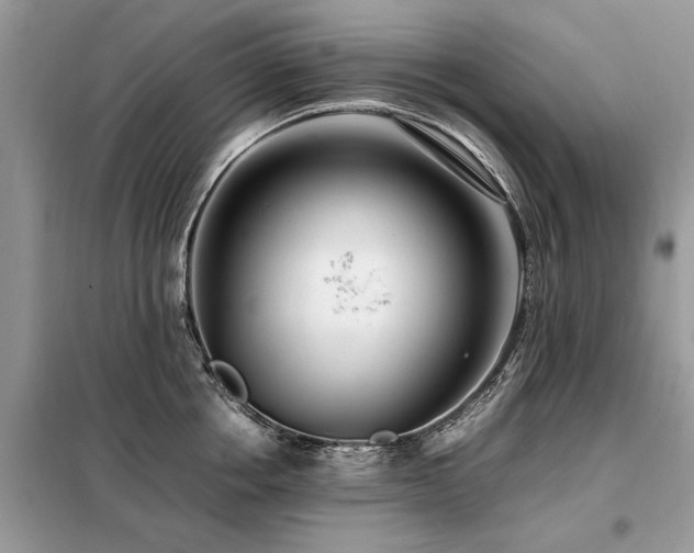 X0000099460858200805091527