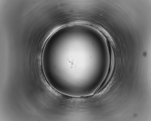 X0000099460860200805091527