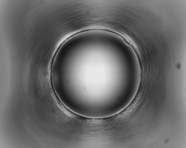 X0000099460862200805091527