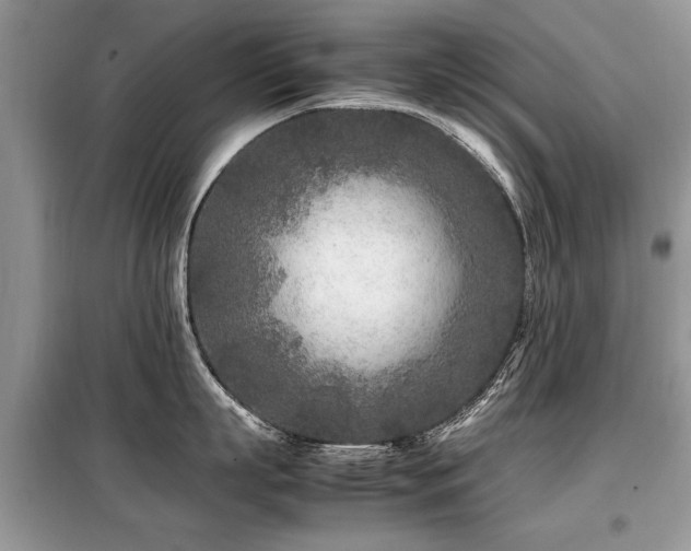 X0000099460863200805091527