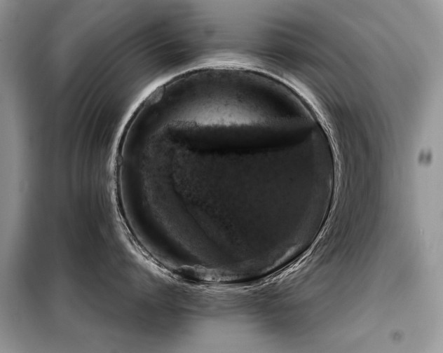 X0000099460864200805091527