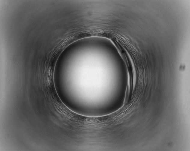 X0000099460866200805091526