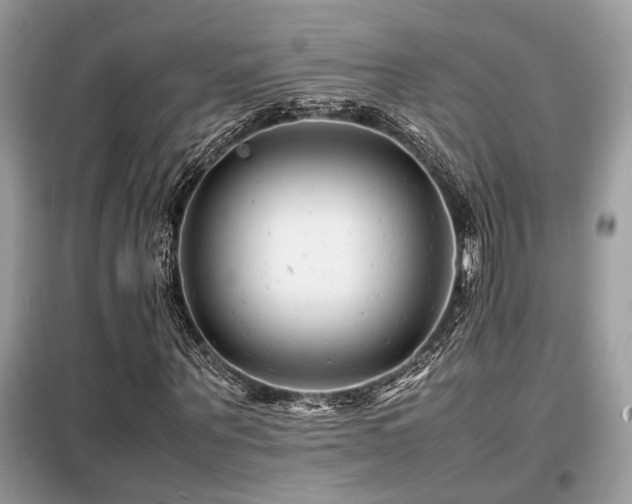X0000099460867200805091526