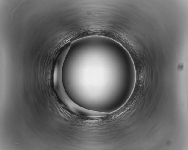 X0000099460868200805091526