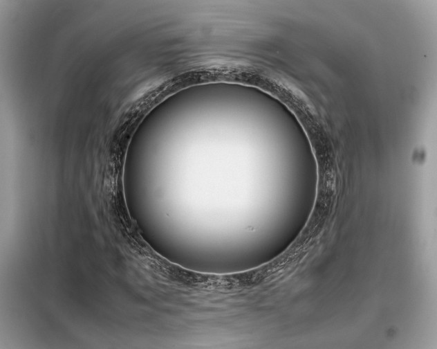 X0000099460869200805091526