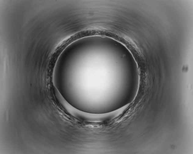 X0000099460872200805091526